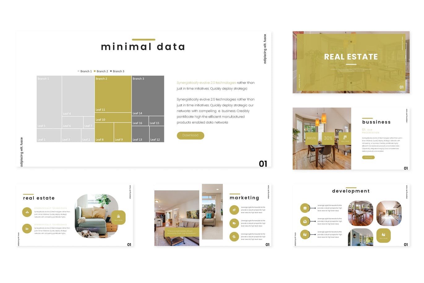 presentation template 19 (2)